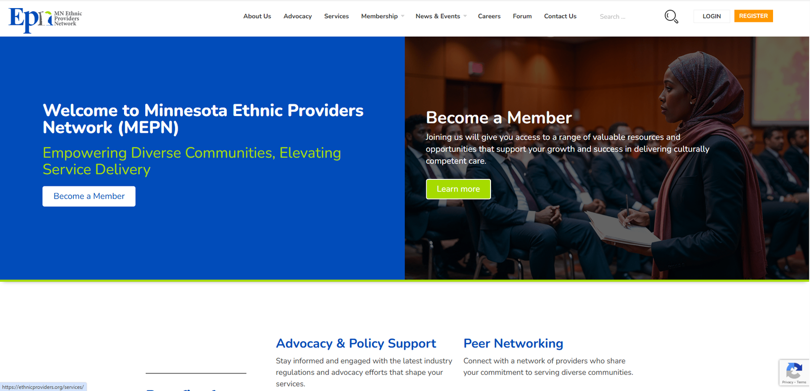 Minnesota Ethnic Providers Network